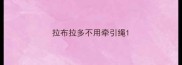 拉布拉多不用牵引绳