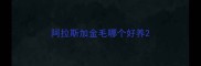 阿拉斯加金毛哪个好养