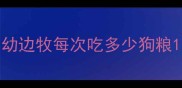 幼边牧每次吃多少狗粮