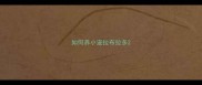 如何养小宠拉布拉多