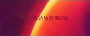 毛色像边牧的狗狗
