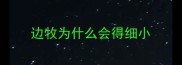 边牧为什么会得细小