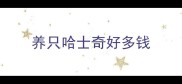 养只哈士奇好多钱
