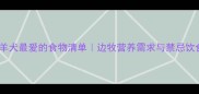 边境牧羊犬最爱的食物清单边牧营养需求与禁忌饮食指南