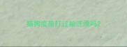 猫狗疫苗打过能洗澡吗