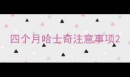 四个月哈士奇注意事项