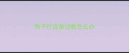 狗子打疫苗过敏怎么办