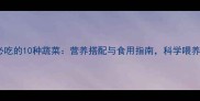 泰迪犬必吃的10种蔬菜营养搭配与食用指南科学喂养这样做