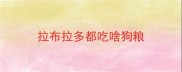 拉布拉多都吃啥狗粮