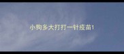 小狗多大打打一针疫苗