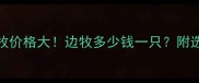 洛阳边牧价格大边牧多少钱一只附选购指南