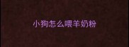 小狗怎么喂羊奶粉