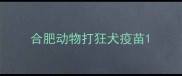 合肥动物打狂犬疫苗