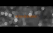 哆趣宠物宠物摄影