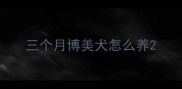三个月博美犬怎么养