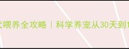 拉布拉多幼犬喂养全攻略科学养宠从30天到1岁营养指南