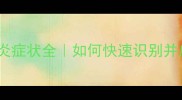泰迪犬脑膜炎症状全如何快速识别并应对家长必看