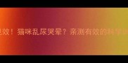 7天见效猫咪乱尿哭晕亲测有效的科学训练法