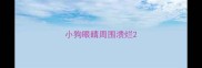 小狗眼睛周围溃烂