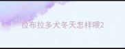 拉布拉多犬冬天怎样喂