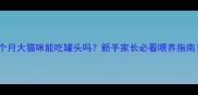 五个月大猫咪能吃罐头吗新手家长必看喂养指南