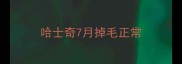 哈士奇7月掉毛正常