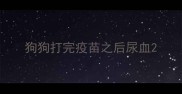 狗狗打完疫苗之后尿血