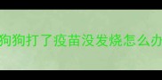 狗狗打了疫苗没发烧怎么办