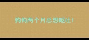 狗狗两个月总想呕吐