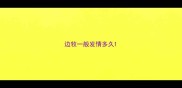 边牧一般发情多久