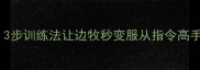 边牧不通脖不通鼻3步训练法让边牧秒变服从指令高手附专业纠正指南
