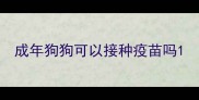 成年狗狗可以接种疫苗吗