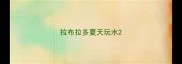 拉布拉多夏天玩水