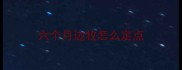 六个月边牧怎么定点