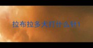 拉布拉多犬打什么针