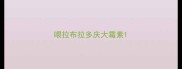 喂拉布拉多庆大霉素