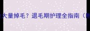 边牧怀孕后为何会大量掉毛退毛期护理全指南附专业兽医建议