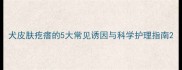犬皮肤疙瘩的5大常见诱因与科学护理指南