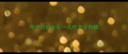两个月的金毛一天吃多少狗粮