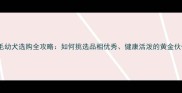 金毛幼犬选购全攻略如何挑选品相优秀健康活泼的黄金伙伴