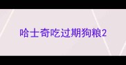 哈士奇吃过期狗粮