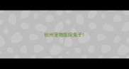 杭州宠物医院兔子