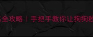 泰迪站立训练全攻略手把手教你让狗狗秒变人形立牌