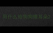 用什么给狗狗擦耳朵