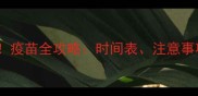 两个月大狗狗必看疫苗全攻略时间表注意事项及常见问题解答