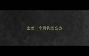 出差一个月狗怎么办