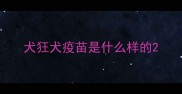 犬狂犬疫苗是什么样的