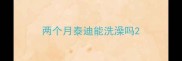 两个月泰迪能洗澡吗
