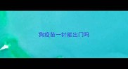 狗疫苗一针能出门吗