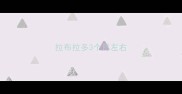 拉布拉多3个月左右